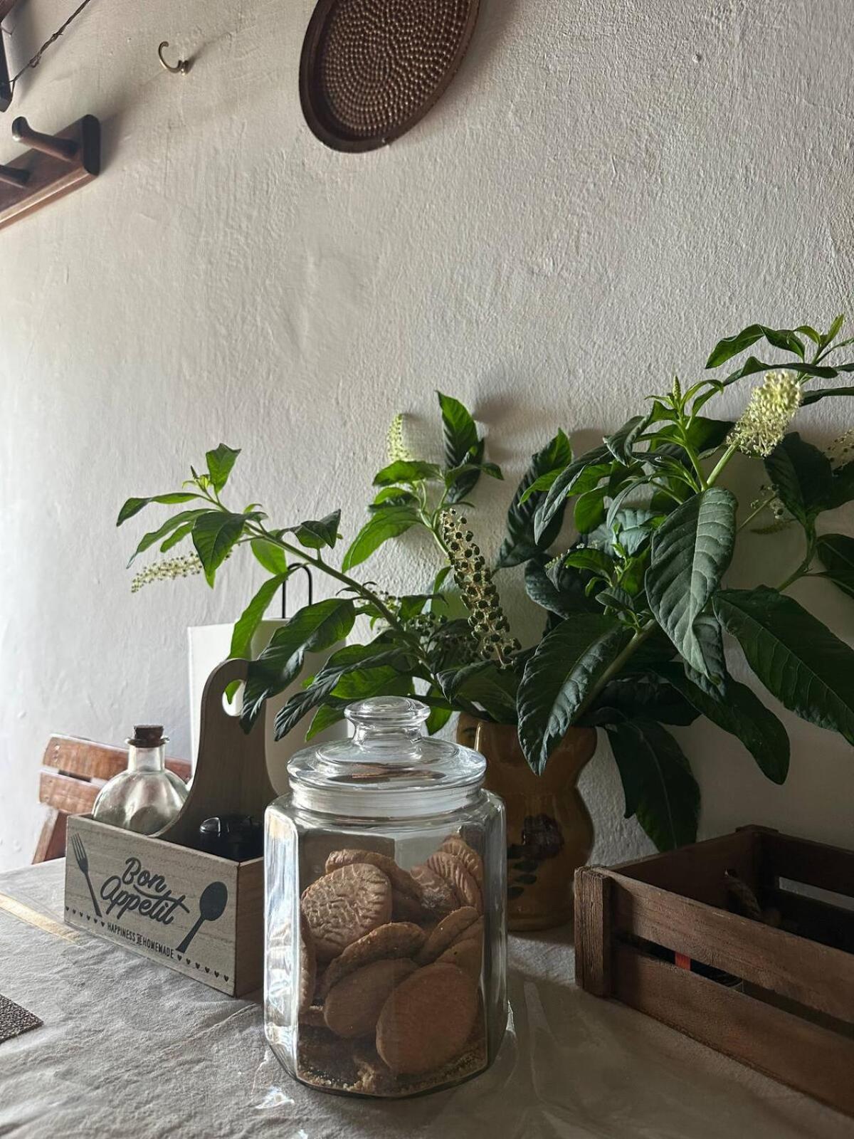 Appartamento Rodia Kynopiástai Esterno foto